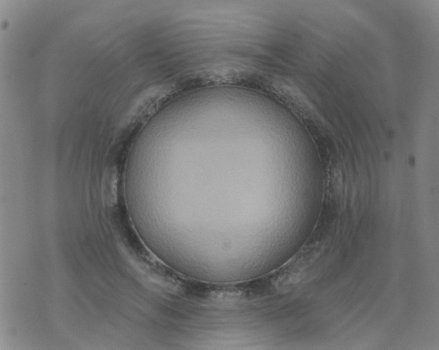 X0000074300694200609081917