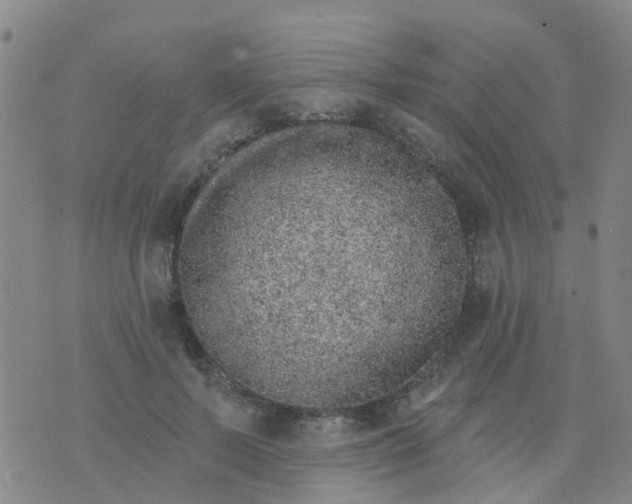 X0000074300695200609081917