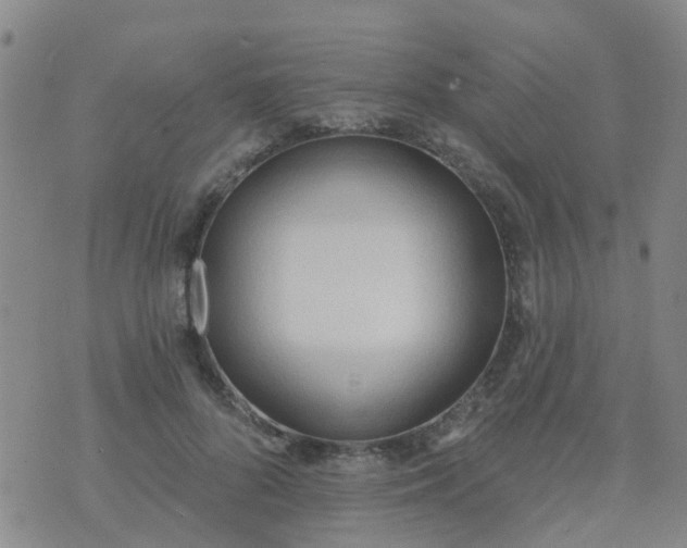 X0000074300696200609081917