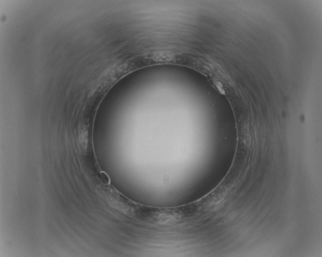 X0000074300697200609081917