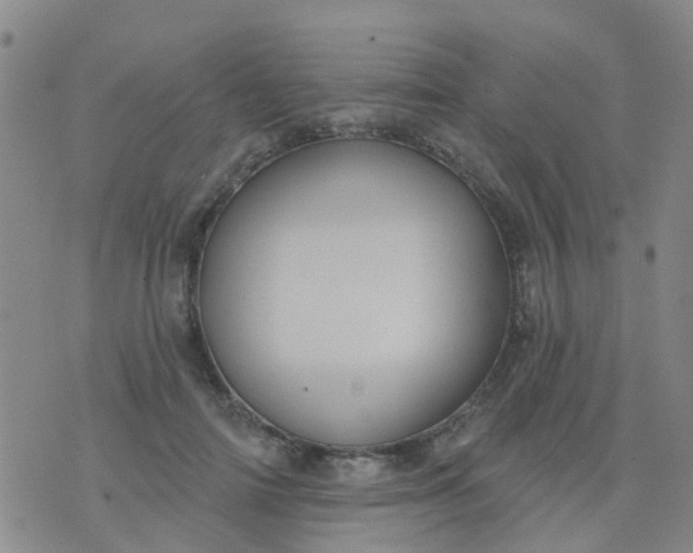 X0000074300698200609081917