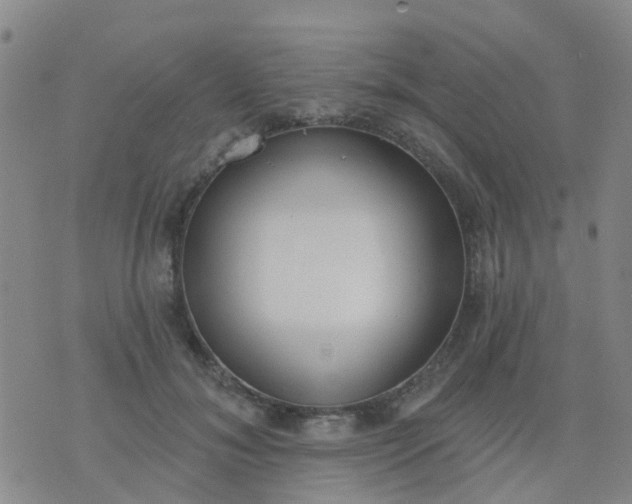 X0000074300700200609081917