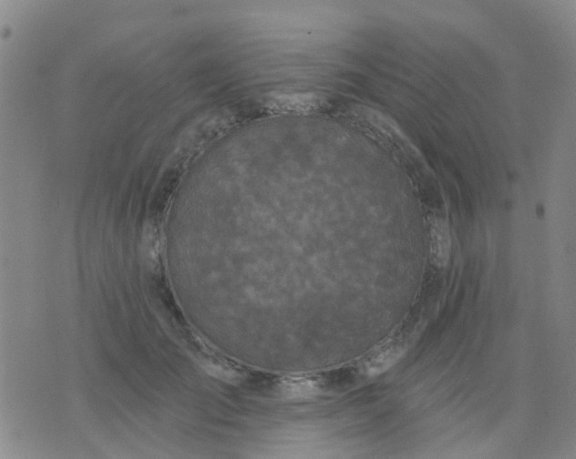 X0000074300701200609081917