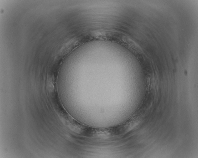 X0000074300702200609081917