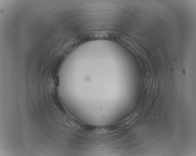 X0000074300704200609081917