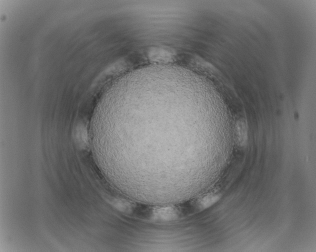 X0000074300705200609081917