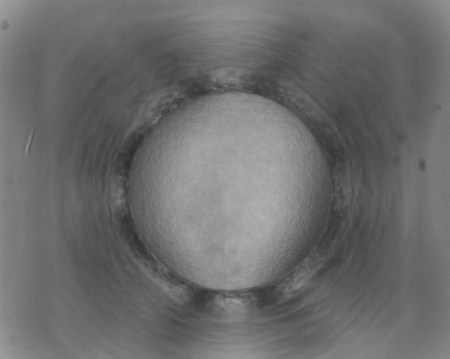 X0000074300706200609081917