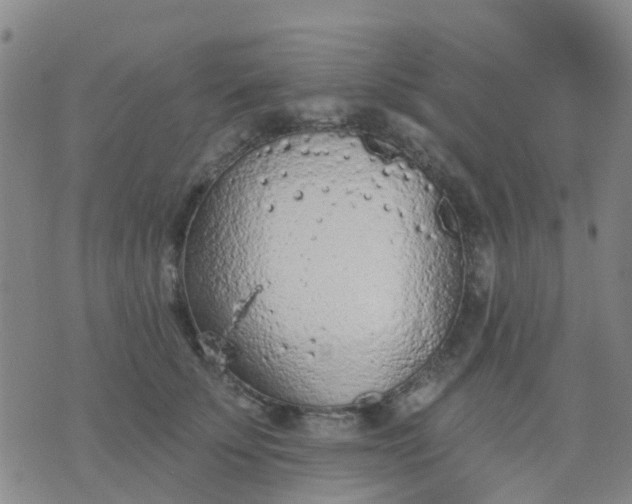 X0000074300707200609081917