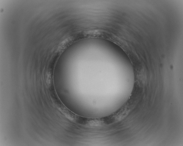 X0000074300708200609081917