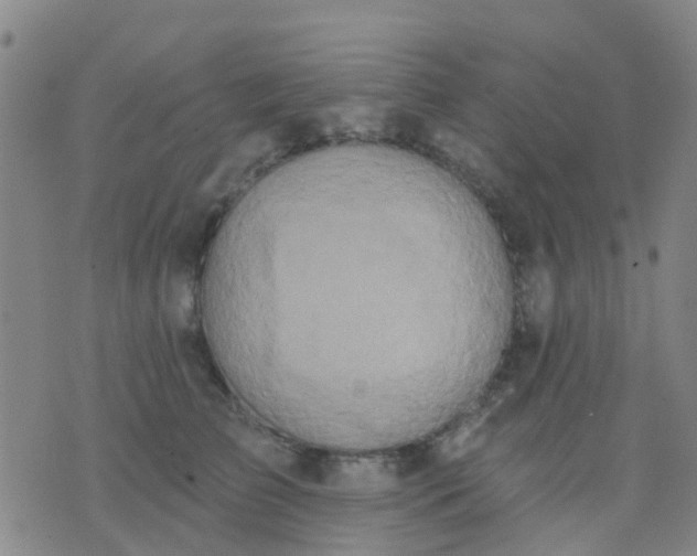 X0000074300709200609081917