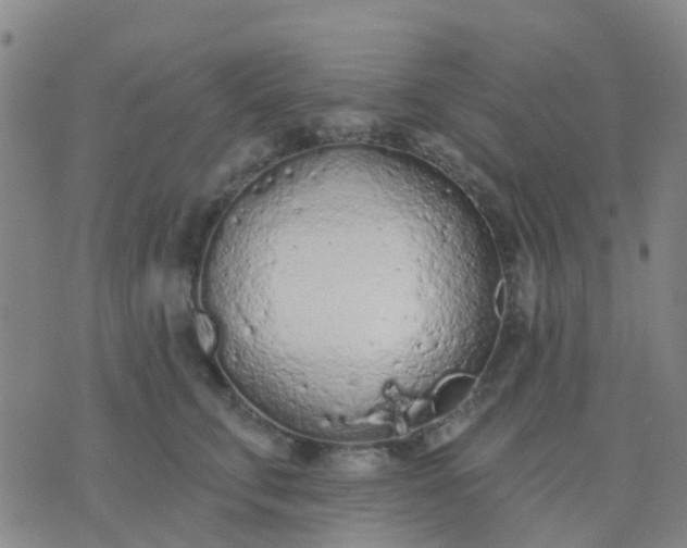 X0000074300711200609081917