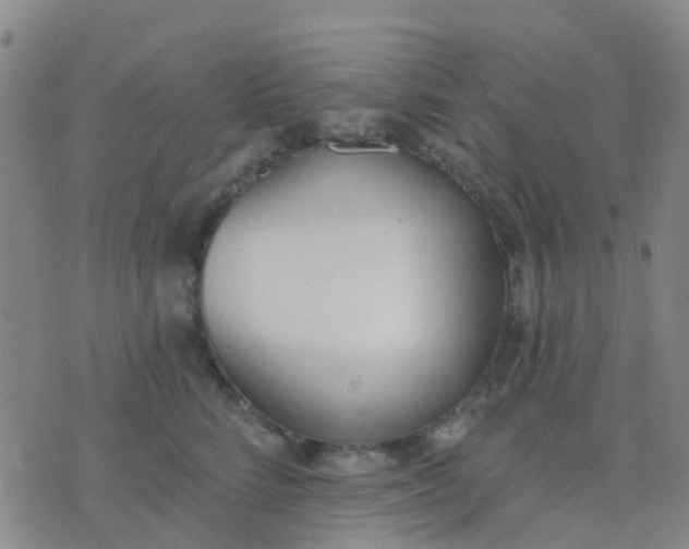 X0000074300712200609081917