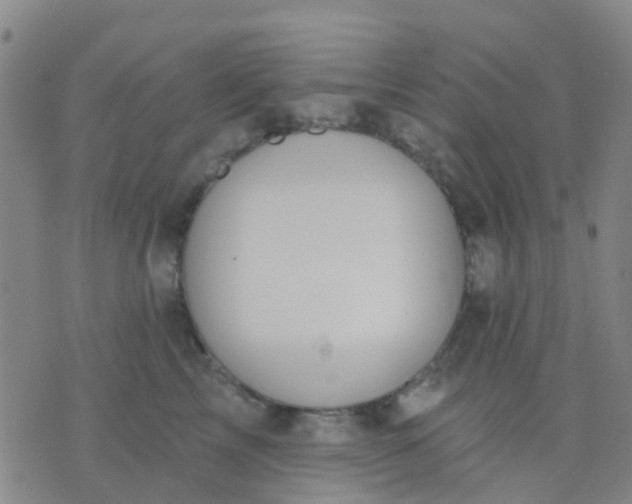 X0000074300713200609081917