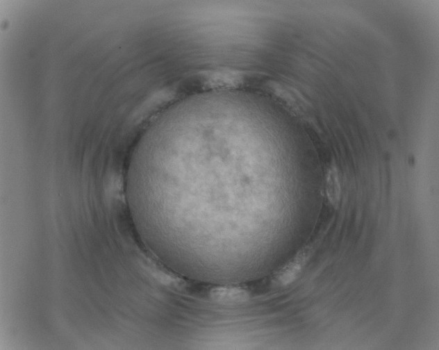 X0000074300714200609081917