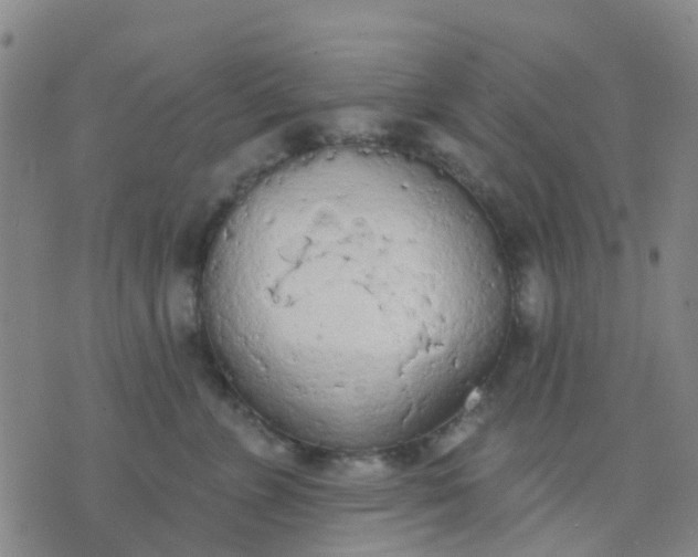 X0000074300715200609081917