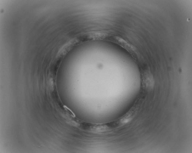 X0000074300716200609081917