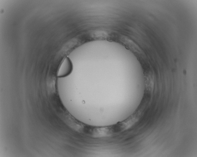 X0000074300717200609081917