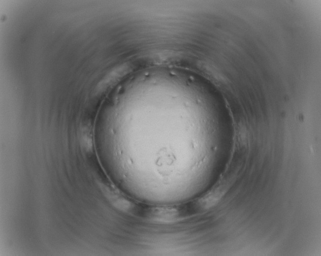 X0000074300719200609081917