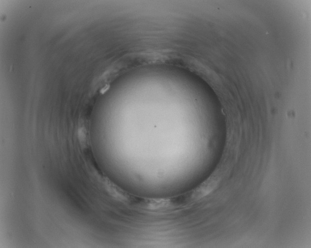 X0000074300720200609081917