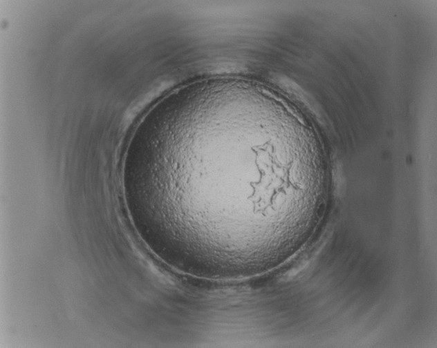 X0000074300721200609081916