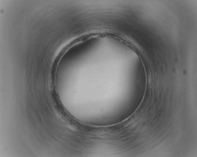 X0000074300724200609081916