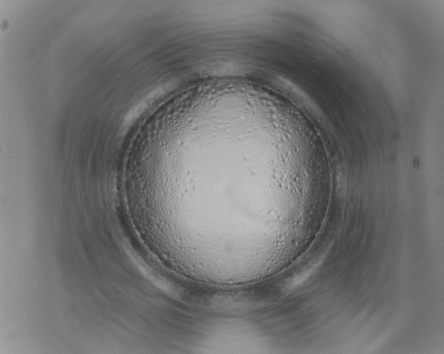 X0000074300725200609081916