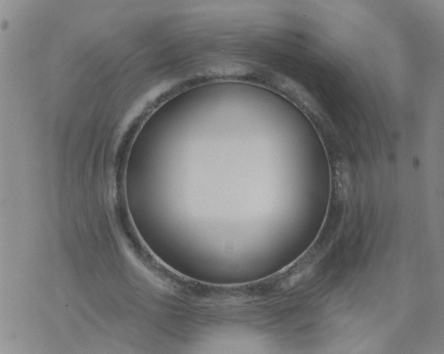 X0000074300726200609081916