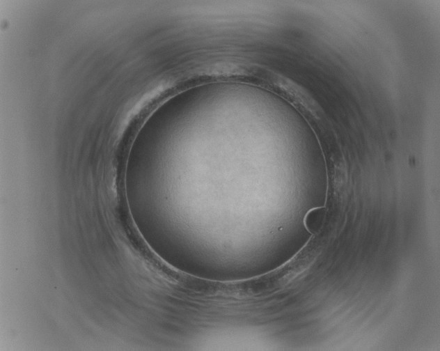 X0000074300727200609081916