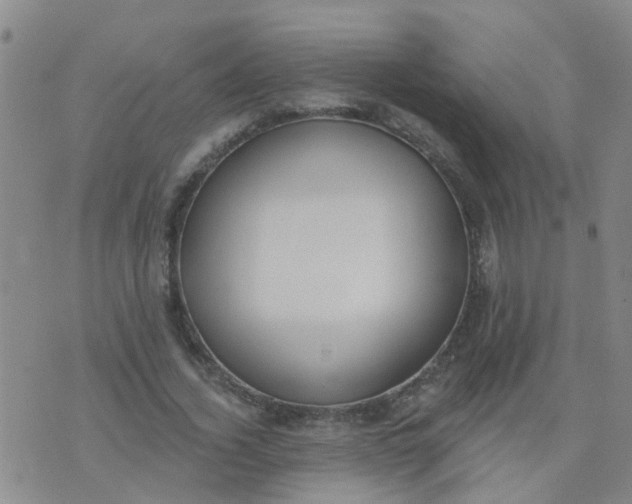 X0000074300732200609081916