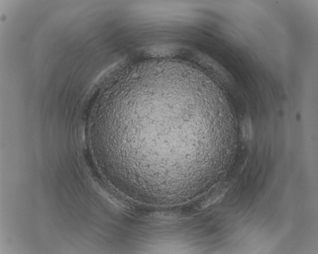 X0000074300733200609081916