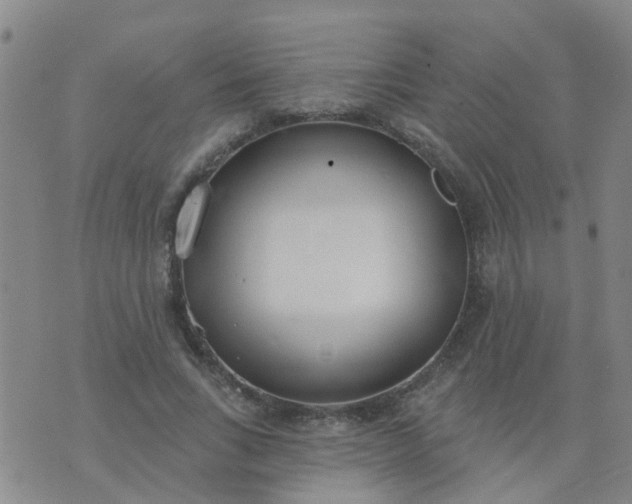 X0000074300735200609081916