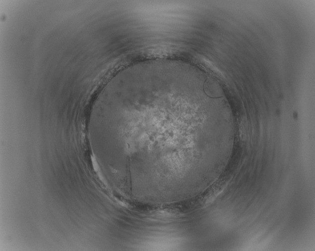 X0000074300737200609081916