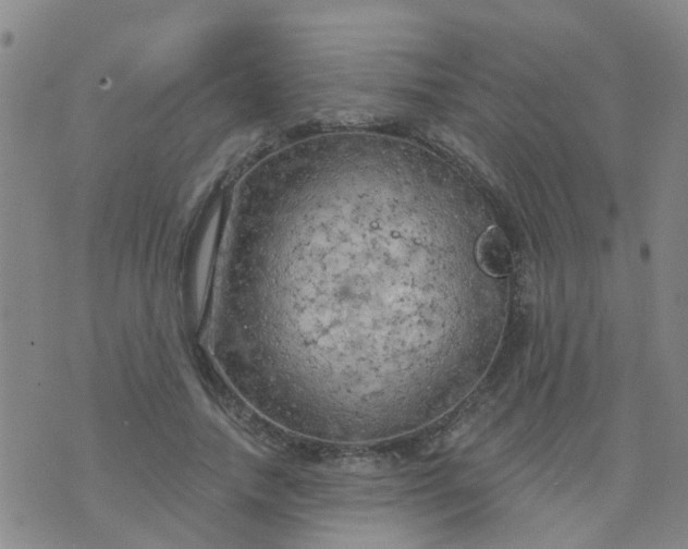 X0000074300738200609081916