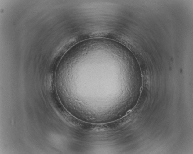 X0000074300742200609081916