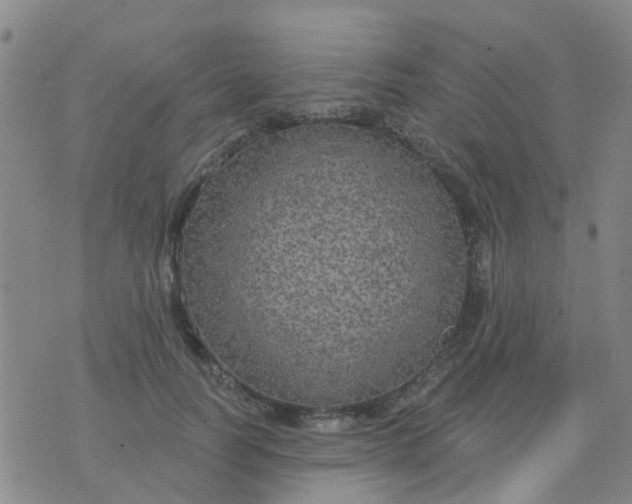 X0000074300746200609081916