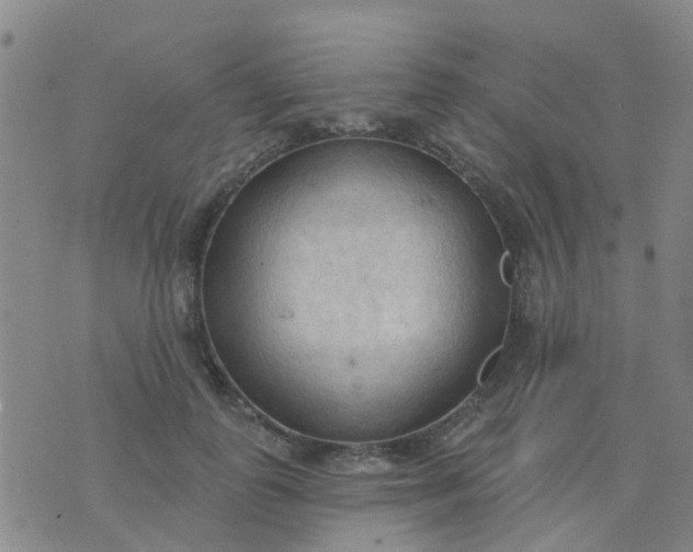 X0000074300747200609081916