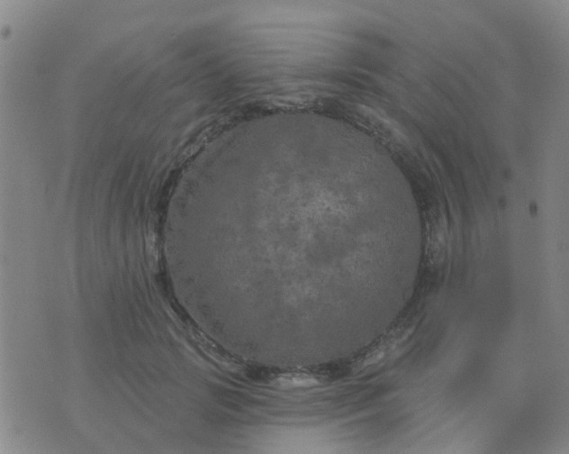 X0000074300749200609081917