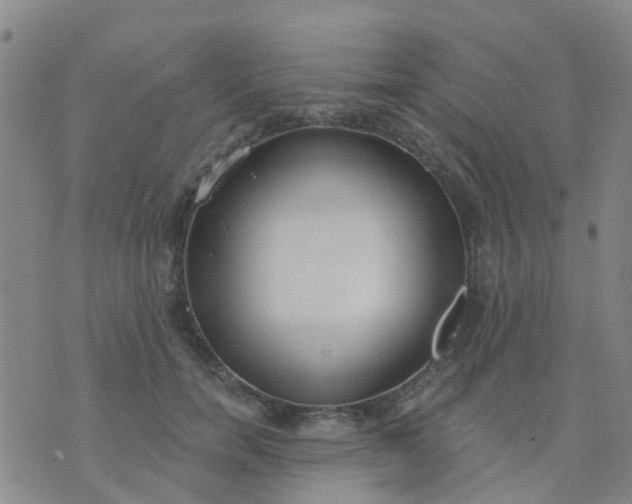 X0000074300750200609081917