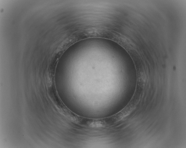 X0000074300751200609081917