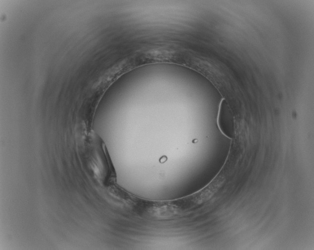 X0000074300752200609081917