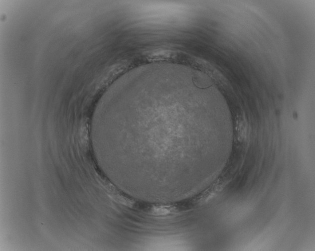 X0000074300753200609081917