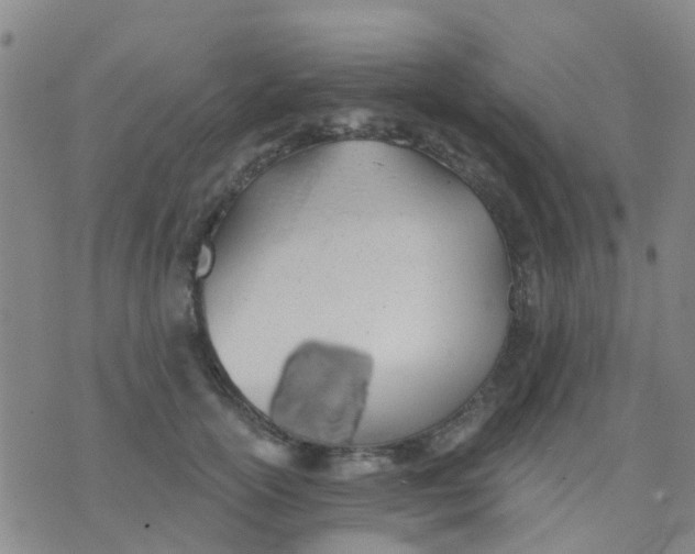 X0000074300754200609081917