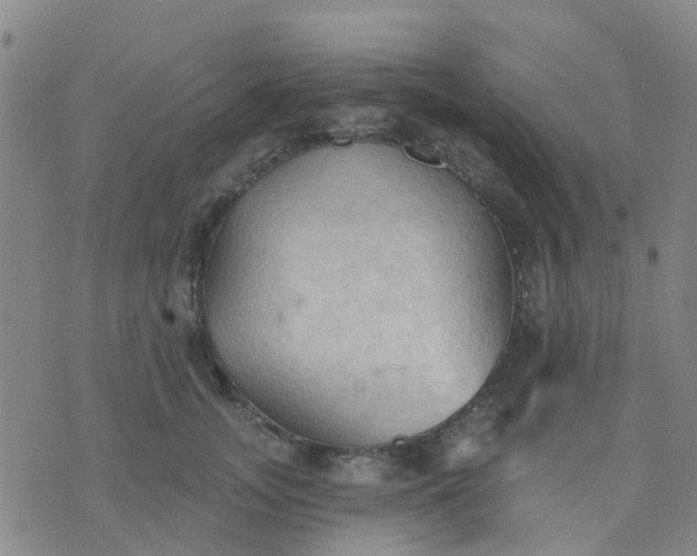 X0000074300755200609081917