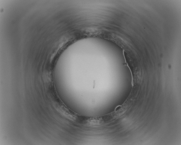 X0000074300756200609081917