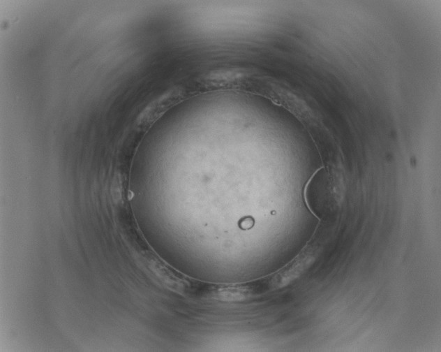 X0000074300758200609081917