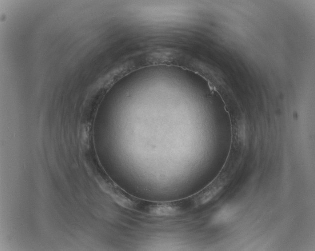 X0000074300759200609081917