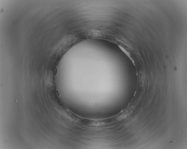 X0000074300760200609081917