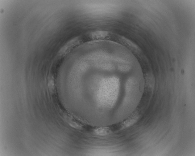 X0000074300761200609081917