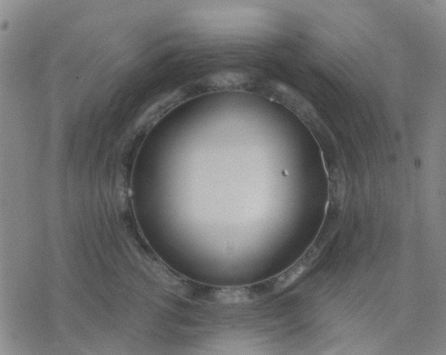 X0000074300762200609081917