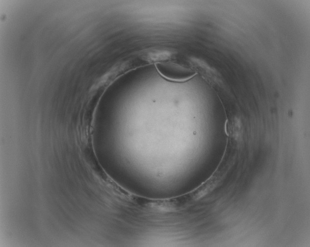 X0000074300763200609081917